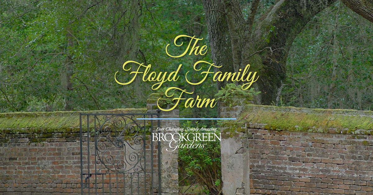 Floyd Family Farm Exhibit - Brookgreen Gardens